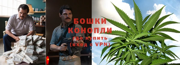 прущие крисы Инта